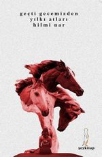 Geçt Gecemizden Yılkı Atları