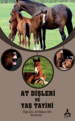 At Dişleri ve Yaş Tayini