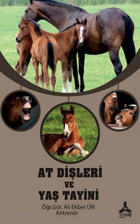 At Dişleri ve Yaş Tayini