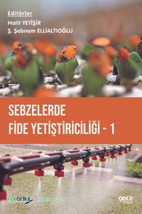 Sebzelerde Fide Yetiştiriciliği 1