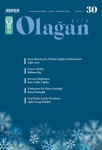 Olağan Şiir Dergisi Sayı:30 Ocak-Şubat 2023
