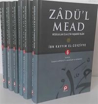 Zadül Mead / Rasülüllah'ın Yaşadığı İslam (6 Cilt Takım)