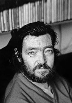  Julio Cortazar