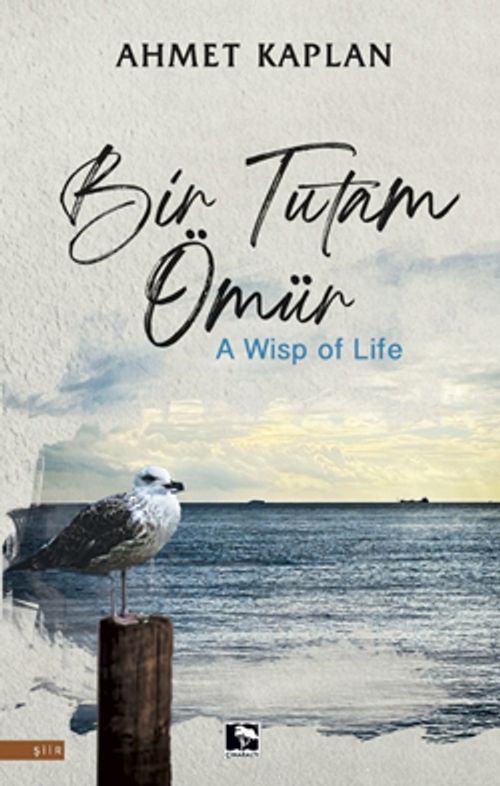 Bir Tutam Ömür
