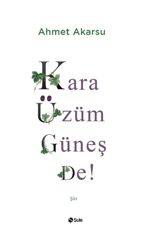 Kara Üzüm Güneş De!