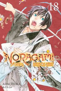 Noragami 18. Cilt / Başıboş Tanrı