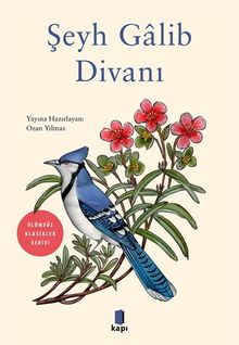 Şeyh Galib  Divanı