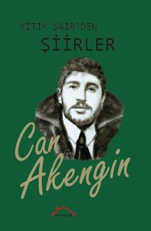 Yitik Şairden Şiirler