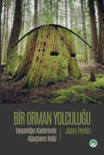 Bir Orman Yolculuğu