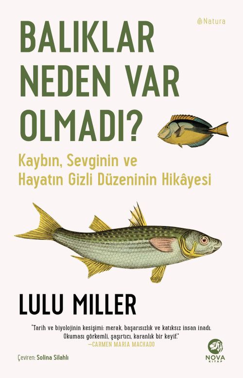 Balıklar Neden Var Olmadı? 