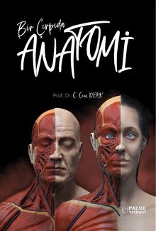 Bir Çırpıda Anatomi 