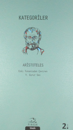 Kategoriler