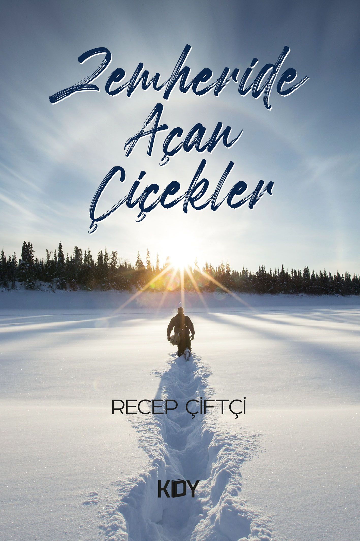 Zemheride Açan Çiçekler (Recep Çiftçi) Fiyatı, Yorumları, Satın Al