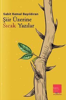 Şiir Üzerine Sıcak Yazılar