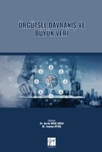 Örgütsel Davranış ve Büyük Veri