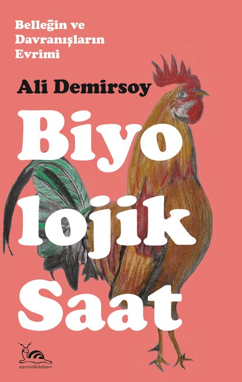 Biyolojik Saat & Belleğin ve Davranışların Evrimi