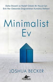 Minimalist Ev