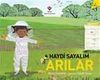 Haydi Sayalım - Arılar