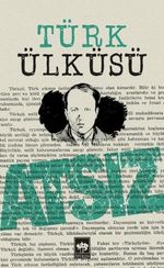 Türk Ülküsü