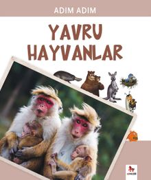 Adım Adım Yavru Hayvanlar