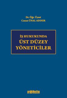 İş Hukukunda Üst Düzey Yöneticiler