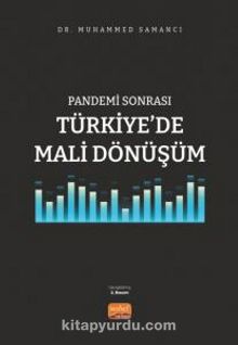 Pandemi Sonrası Türkiye’de Mali Dönüşüm
