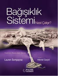 Bağışıklık Sistemi Nasıl Çalışır?