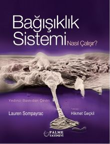 Bağışıklık Sistemi Nasıl Çalışır?