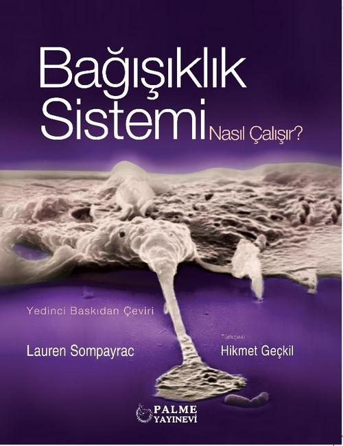 Bağışıklık Sistemi Nasıl Çalışır?