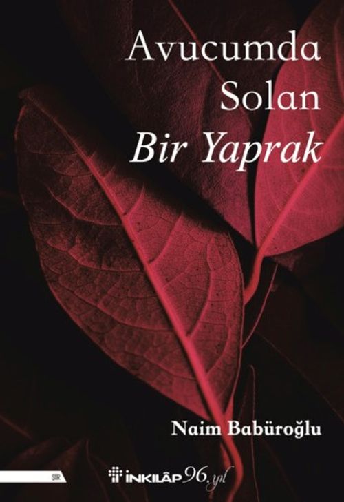 Avucumda Solan Bir Yaprak