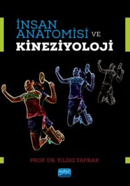 İnsan Anatomisi ve Kineziyoloji