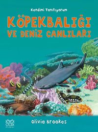 Köpekbalığı ve Deniz Canlılarına Soralım