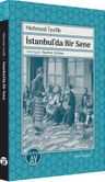 İstanbul'da Bir Sene