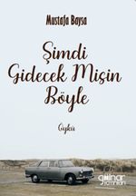 Şimdi Gidecek Misin Böyle