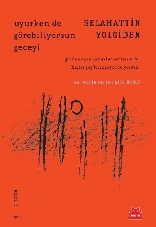 Uyurken de Görebiliyorsun Geceyi