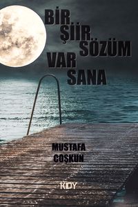 Bir Şiir Sözüm Var Sana