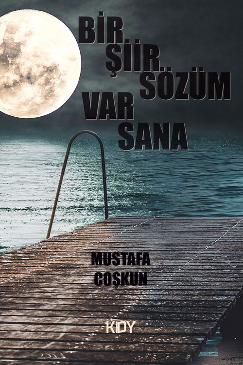 Bir Şiir Sözüm Var Sana