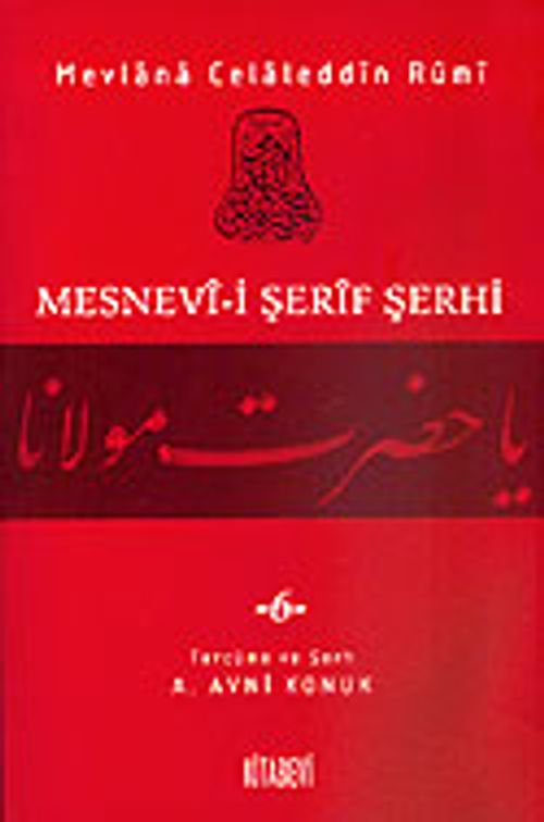 Mesnevi-i Şerif Şerhi 6