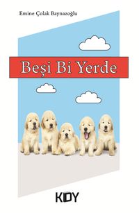 Beşi Bi Yerde