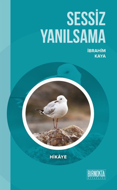 Sessiz Yanılsama