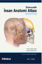 Morton - Sistematik İnsan Anatomi Atlası