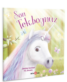 Son Unicorn Tekboynuz