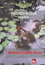 Akordu Bozuk Sevda
