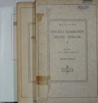 Divan-ı Kebir'den Seçme Şiirler (3 Cilt) (11-Z-174)