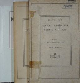 Divan-ı Kebir'den Seçme Şiirler (3 Cilt) (11-Z-174)