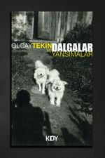 Dalgalar ve Yansımalar 