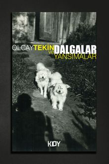 Dalgalar ve Yansımalar 