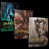 Harry Potter Film Dehlizi Serisi 3 Kitap Takım (Karton Kapak)