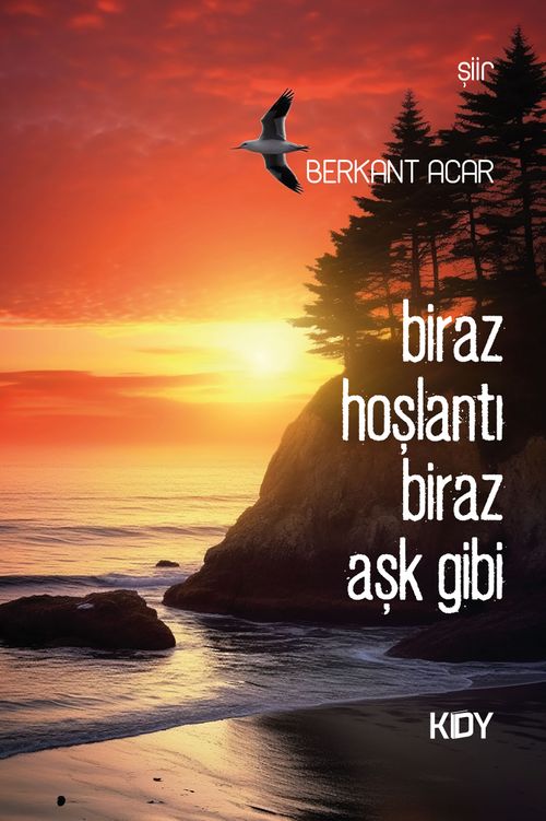 Biraz Hoşlantı Biraz Aşk Gibi 