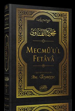 Mecmûu'l-Fetava (17. Cilt)